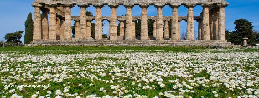 Il Giardino Di Tonia - Oplontis Guest House - Bed & Garden - Torre Annunziata Εξωτερικό φωτογραφία